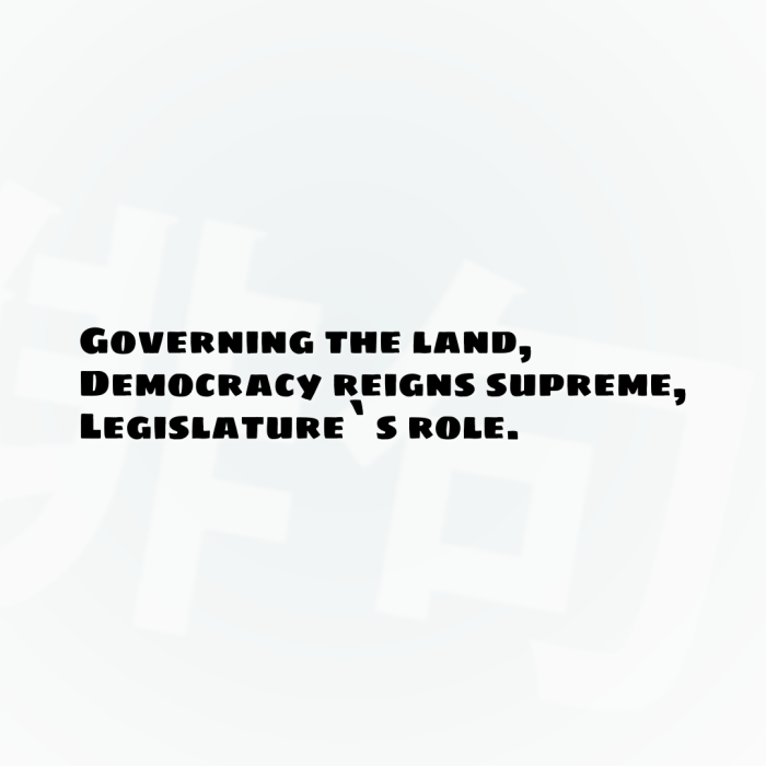 Governing the land, Democracy reigns supreme, Legislature`s role.