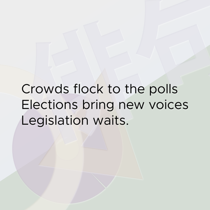 Crowds flock to the polls Elections bring new voices Legislation waits.