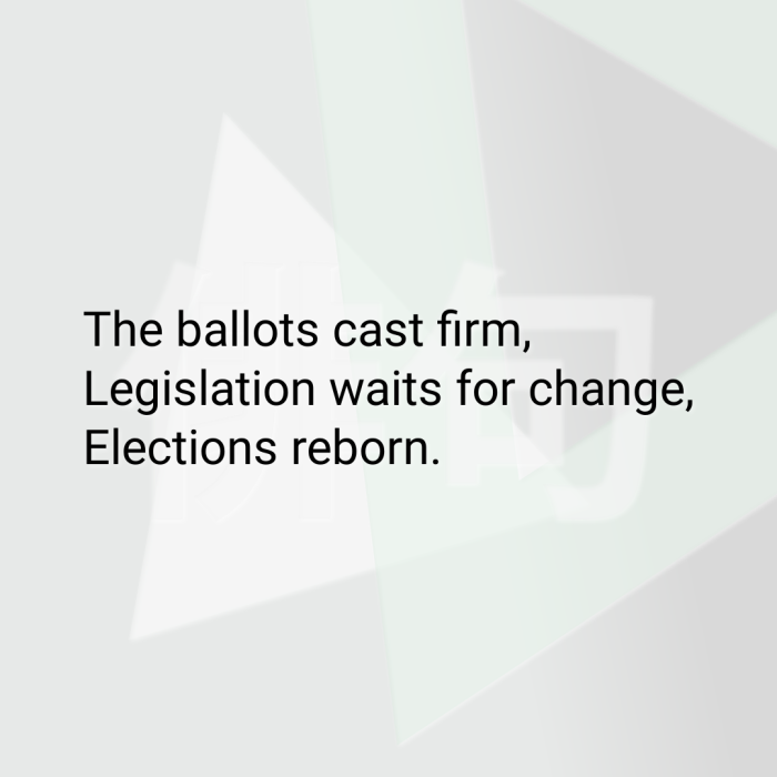 The ballots cast firm, Legislation waits for change, Elections reborn.