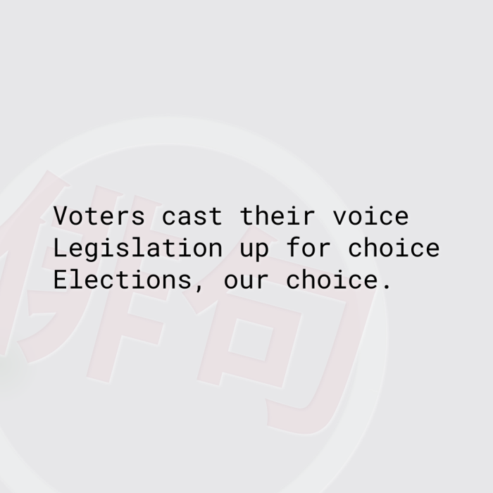 Voters cast their voice Legislation up for choice Elections, our choice.