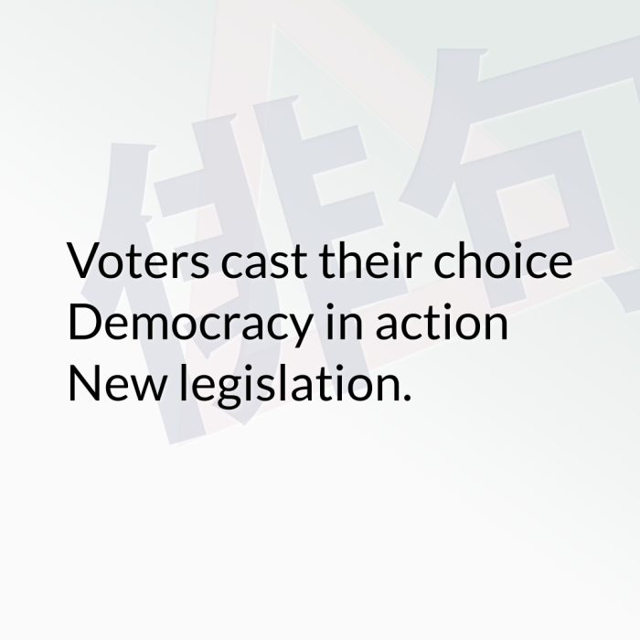 Voters cast their choice Democracy in action New legislation.