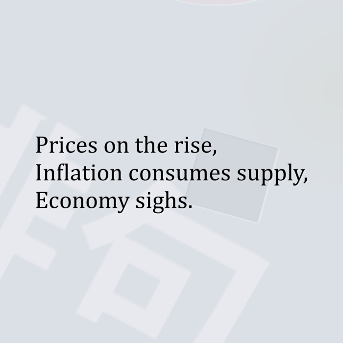 Prices on the rise, Inflation consumes supply, Economy sighs.