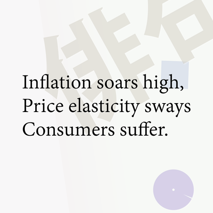 Inflation soars high, Price elasticity sways Consumers suffer.