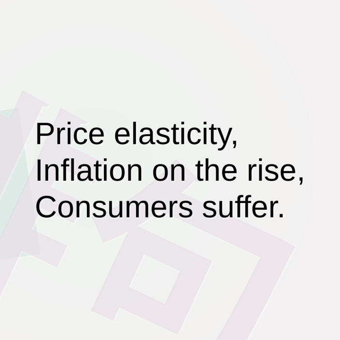 Price elasticity, Inflation on the rise, Consumers suffer.