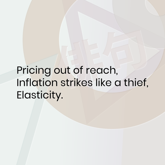 Pricing out of reach, Inflation strikes like a thief, Elasticity.