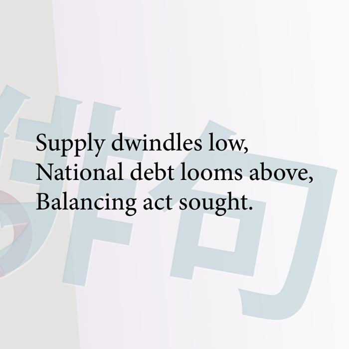 Supply dwindles low, National debt looms above, Balancing act sought.