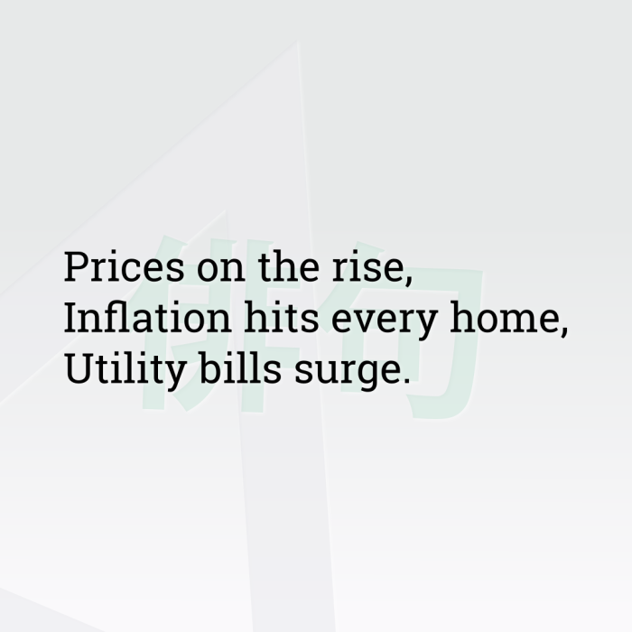 Prices on the rise, Inflation hits every home, Utility bills surge.