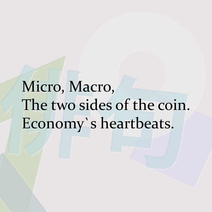 Micro, Macro, The two sides of the coin. Economy`s heartbeats.