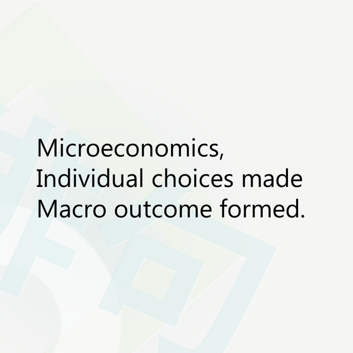Microeconomics, Individual choices made Macro outcome formed.