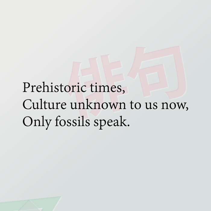 Prehistoric times, Culture unknown to us now, Only fossils speak.