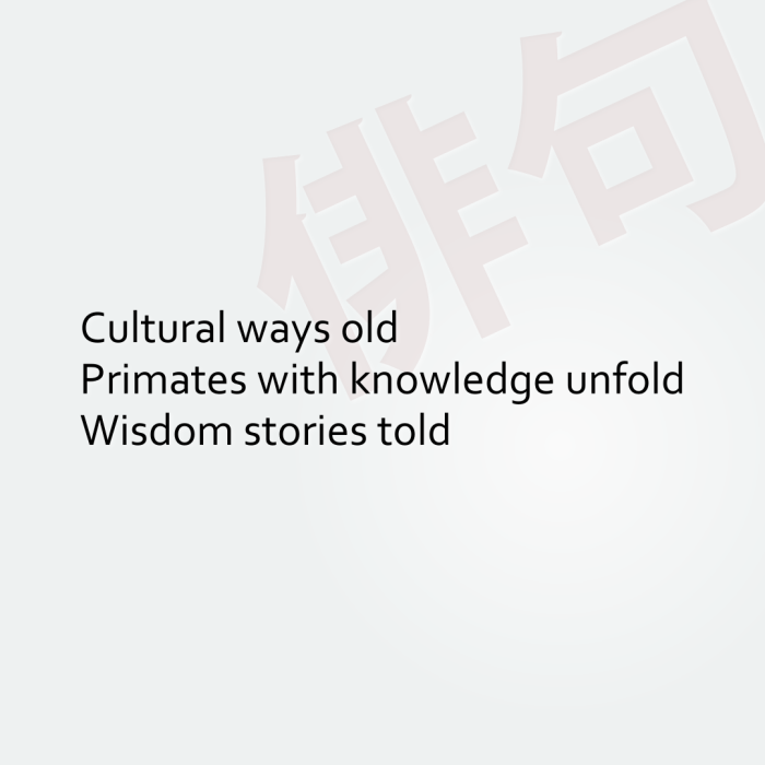 Cultural ways old Primates with knowledge unfold Wisdom stories told