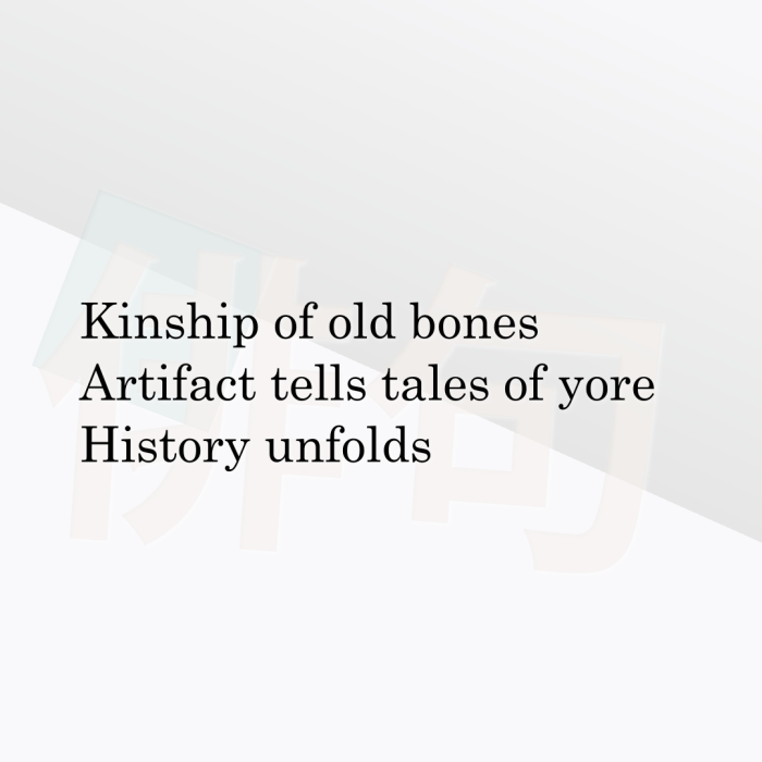Kinship of old bones Artifact tells tales of yore History unfolds