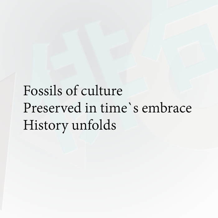 Fossils of culture Preserved in time`s embrace History unfolds