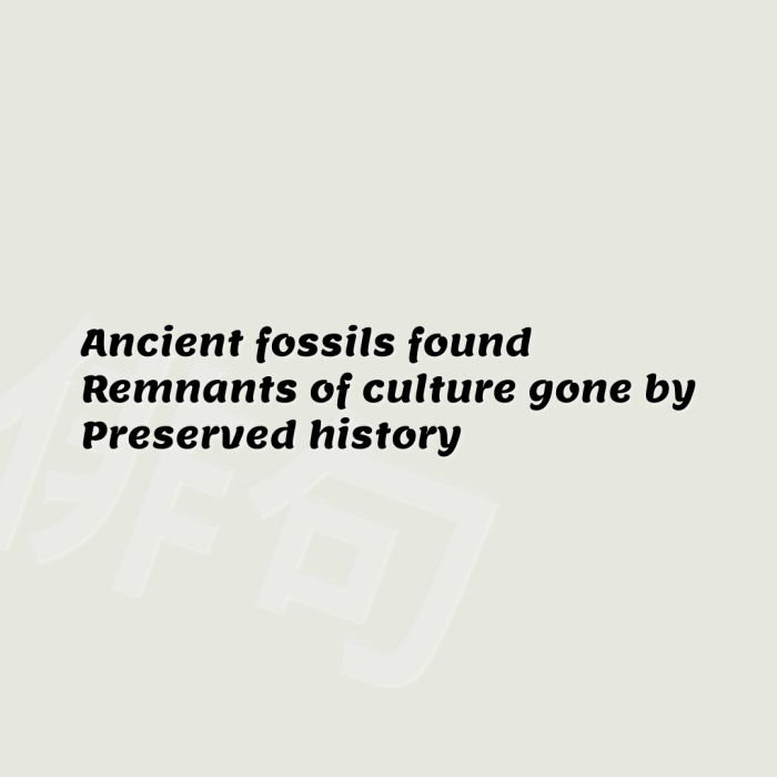 Ancient fossils found Remnants of culture gone by Preserved history