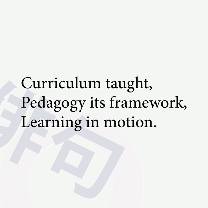 Curriculum taught, Pedagogy its framework, Learning in motion.