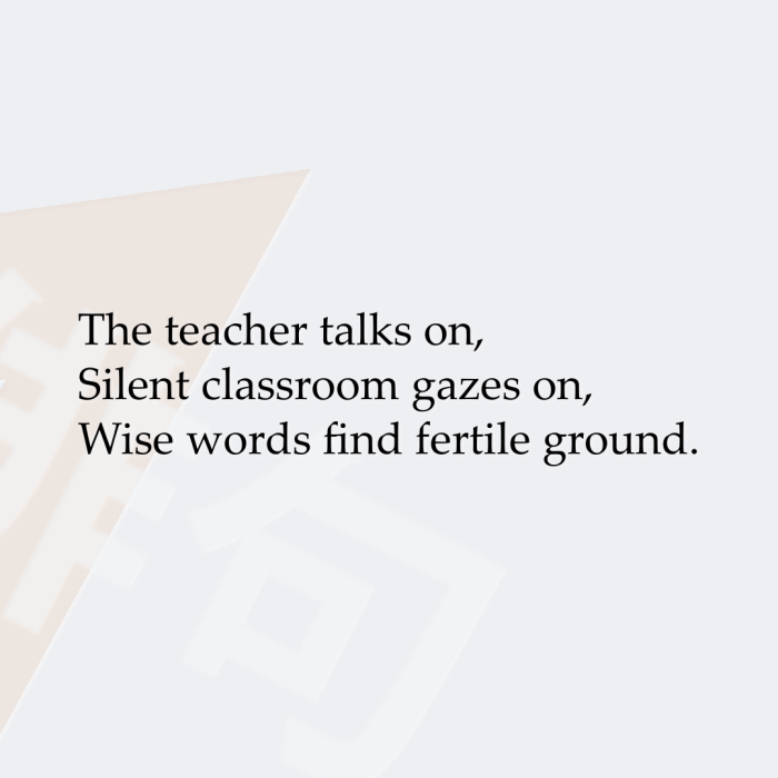 The teacher talks on, Silent classroom gazes on, Wise words find fertile ground.