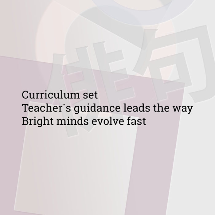 Curriculum set Teacher`s guidance leads the way Bright minds evolve fast