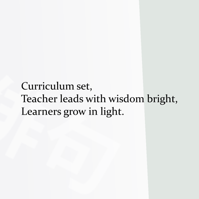 Curriculum set, Teacher leads with wisdom bright, Learners grow in light.
