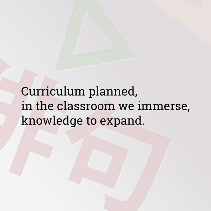 Curriculum planned, in the classroom we immerse, knowledge to expand.