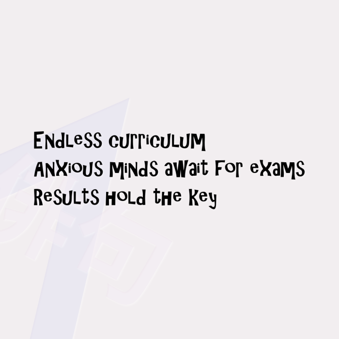 Endless curriculum Anxious minds await for exams Results hold the key