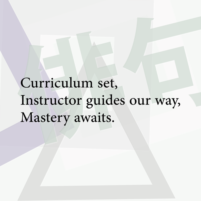 Curriculum set, Instructor guides our way, Mastery awaits.