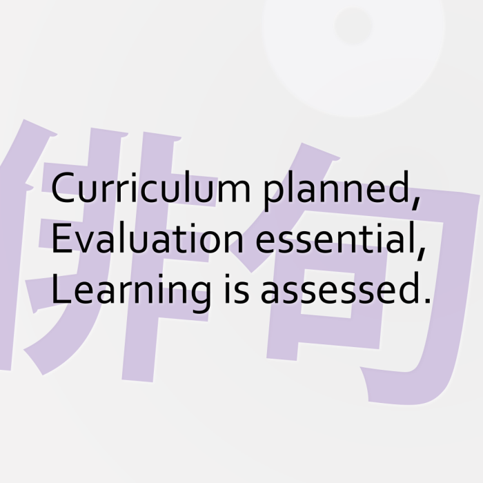 Curriculum planned, Evaluation essential, Learning is assessed.