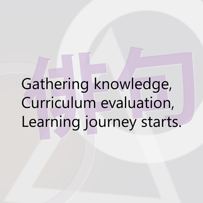 Gathering knowledge, Curriculum evaluation, Learning journey starts.