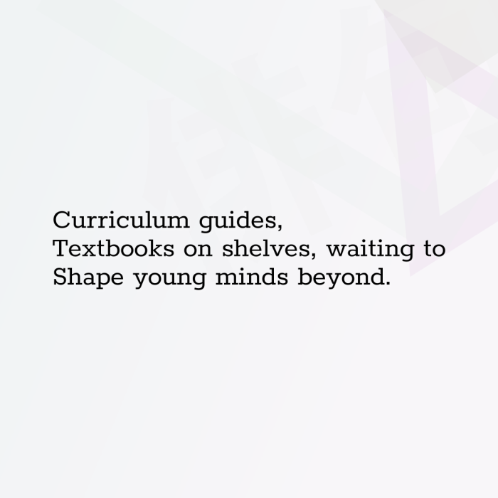 Curriculum guides, Textbooks on shelves, waiting to Shape young minds beyond.