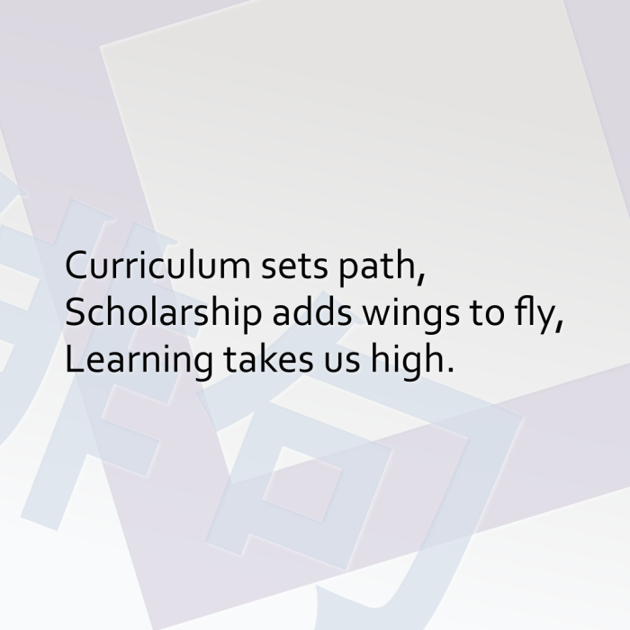 Curriculum sets path, Scholarship adds wings to fly, Learning takes us high.