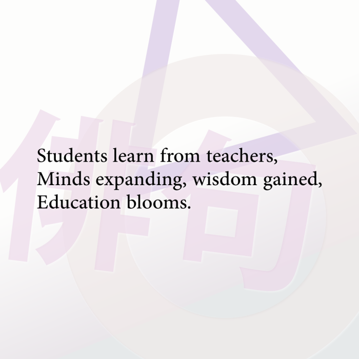 Students learn from teachers, Minds expanding, wisdom gained, Education blooms.