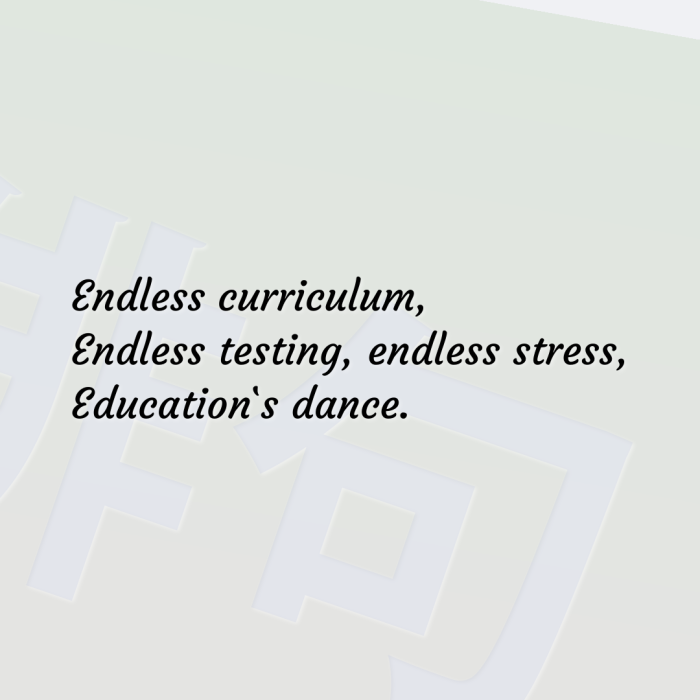 Endless curriculum, Endless testing, endless stress, Education`s dance.