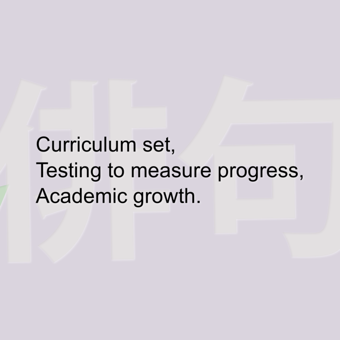Curriculum set, Testing to measure progress, Academic growth.