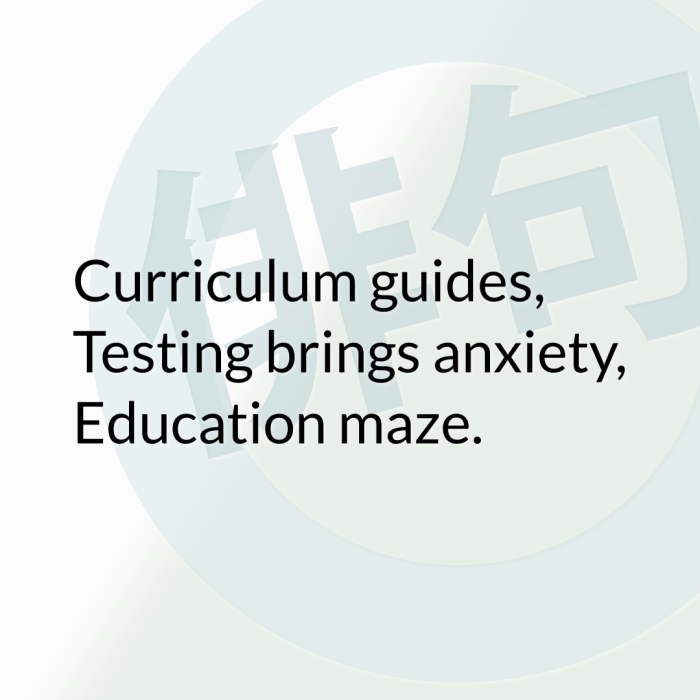 Curriculum guides, Testing brings anxiety, Education maze.