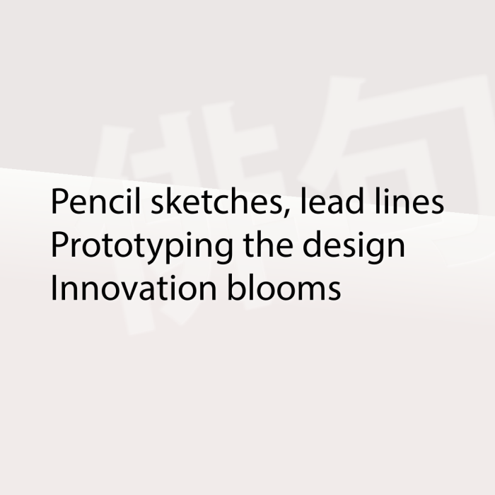 Pencil sketches, lead lines Prototyping the design Innovation blooms