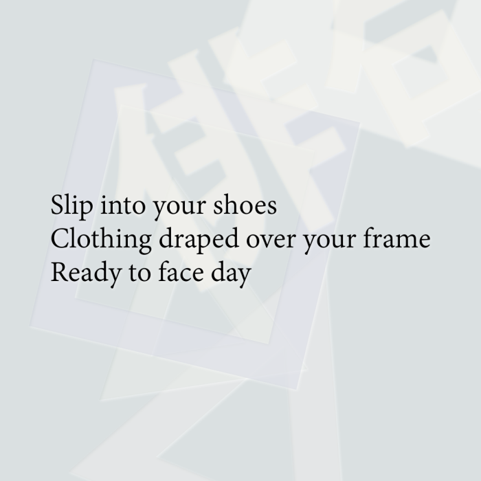 Slip into your shoes Clothing draped over your frame Ready to face day