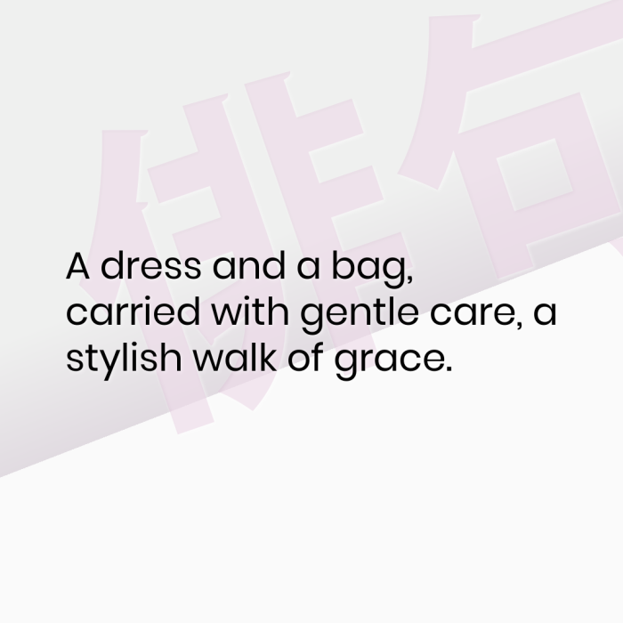 A dress and a bag, carried with gentle care, a stylish walk of grace.