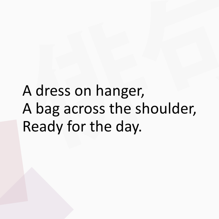 A dress on hanger, A bag across the shoulder, Ready for the day.