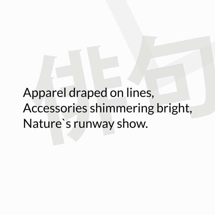 Apparel draped on lines, Accessories shimmering bright, Nature`s runway show.