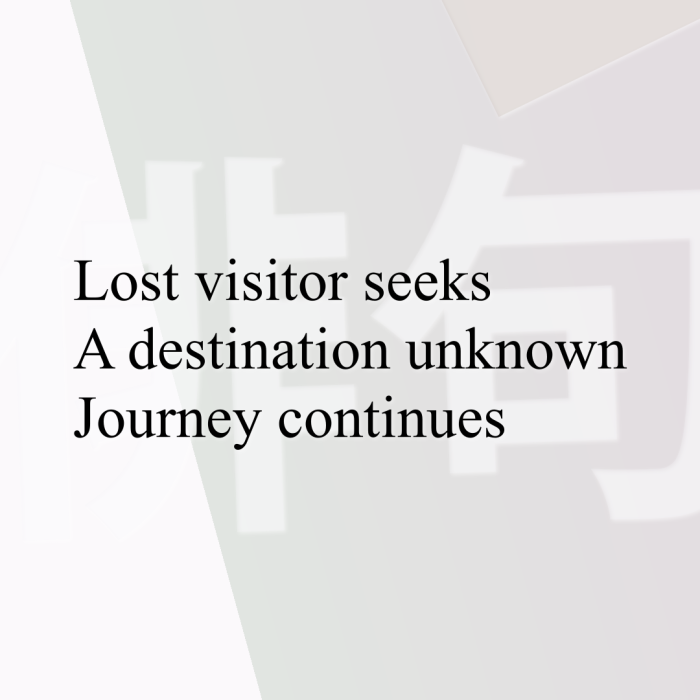 Lost visitor seeks A destination unknown Journey continues