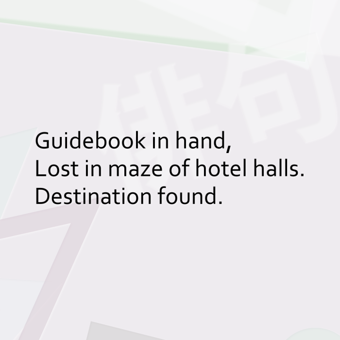 Guidebook in hand, Lost in maze of hotel halls. Destination found.