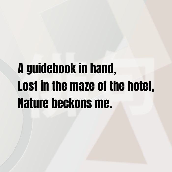 A guidebook in hand, Lost in the maze of the hotel, Nature beckons me.