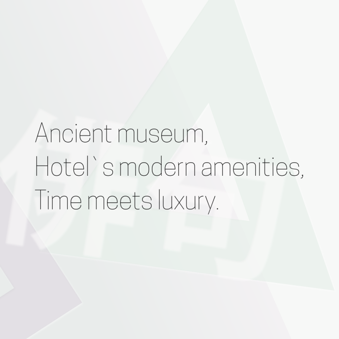 Ancient museum, Hotel`s modern amenities, Time meets luxury.