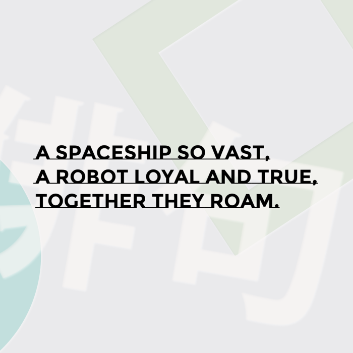 A spaceship so vast, A robot loyal and true, Together they roam.