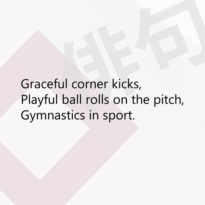 Graceful corner kicks, Playful ball rolls on the pitch, Gymnastics in sport.