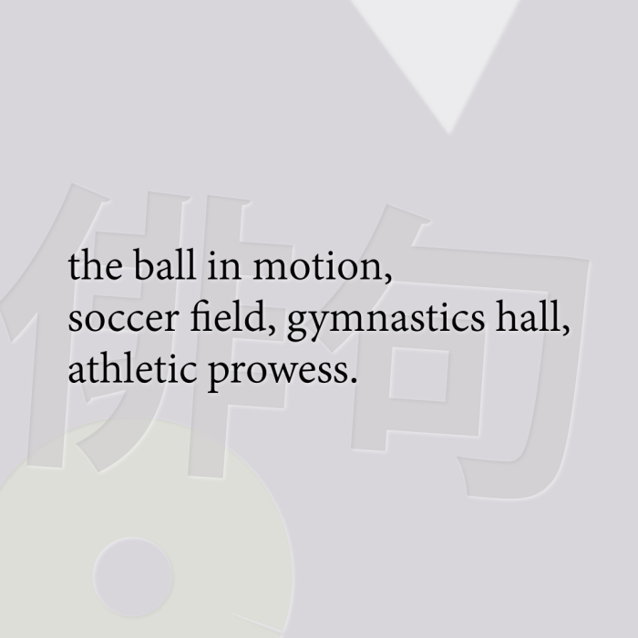 the ball in motion, soccer field, gymnastics hall, athletic prowess.