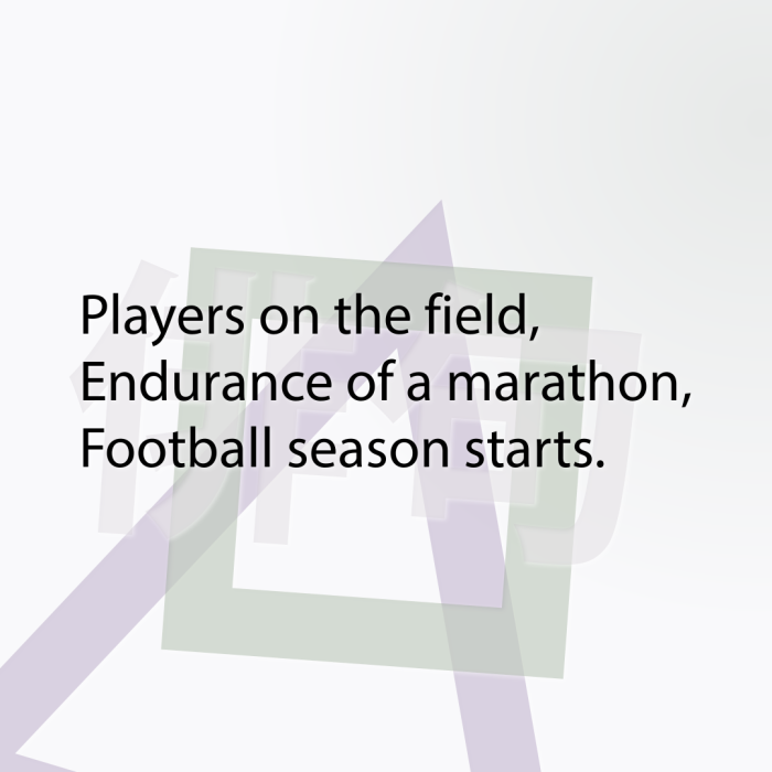 Players on the field, Endurance of a marathon, Football season starts.