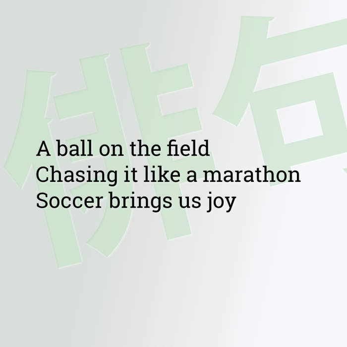 A ball on the field Chasing it like a marathon Soccer brings us joy