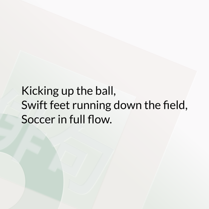 Kicking up the ball, Swift feet running down the field, Soccer in full flow.