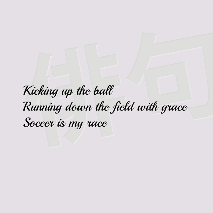 Kicking up the ball Running down the field with grace Soccer is my race