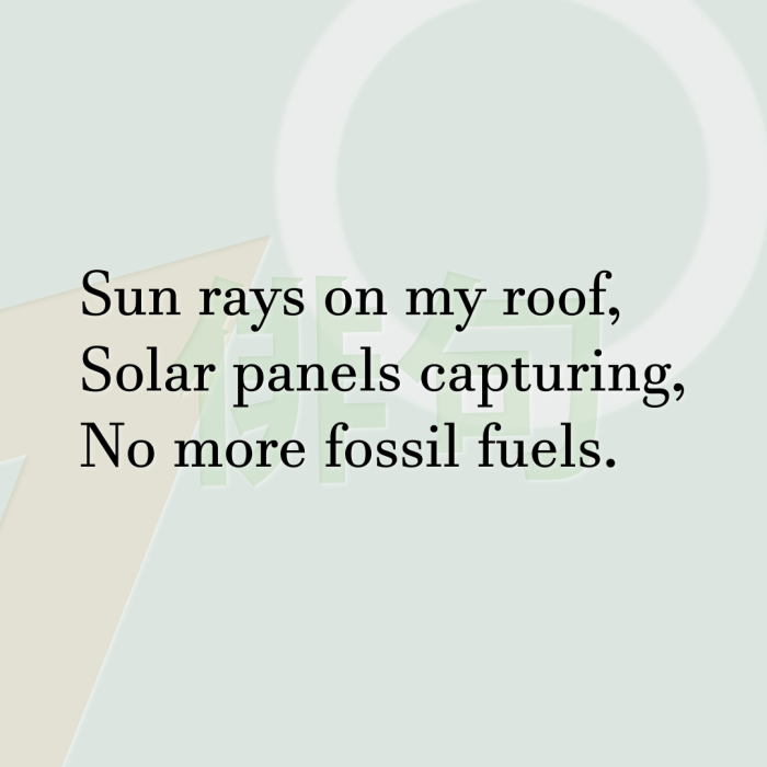 Sun rays on my roof, Solar panels capturing, No more fossil fuels.